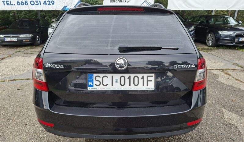 Škoda Octavia Klimatronic 2-stref, Podgrz. fotele, PL Salon, 1-szy właściciel! III (2013-) full