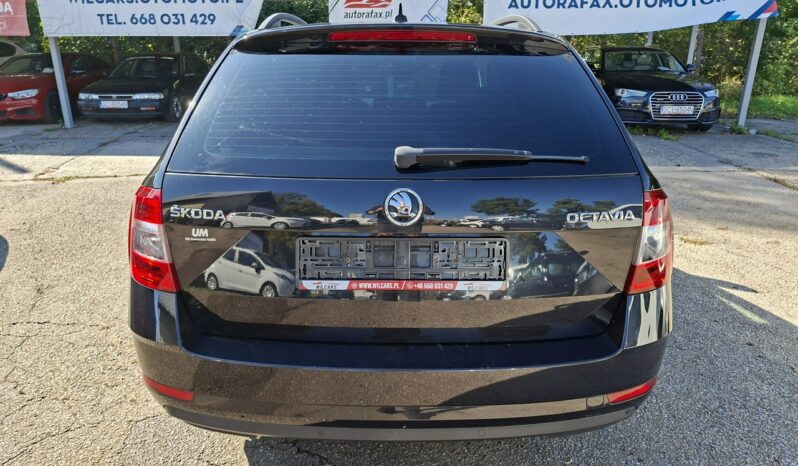 Škoda Octavia Klimatronic 2-stref, DSG, Podgrz. fotele, PDC 2x, Navi, PL Salon III (2013-) full