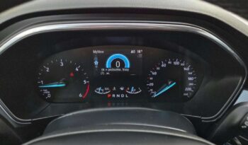 Ford Focus full
