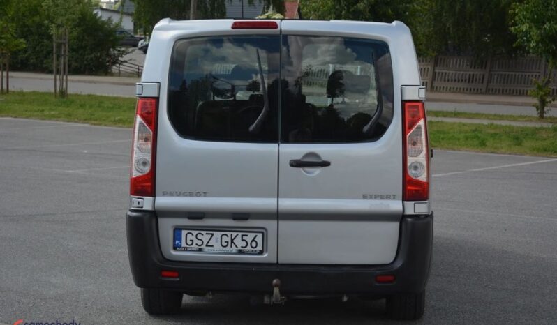 Peugeot Expert full