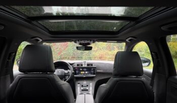 DS Automobiles DS 7 Crossback 1.6 PureTech Performance Line + full