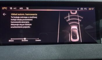 DS Automobiles DS 4 1.6 E-Tense Performance Line + full