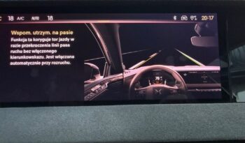 DS Automobiles DS 4 1.6 E-Tense Performance Line + full