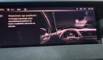 DS Automobiles DS 4 1.6 E-Tense Performance Line + full