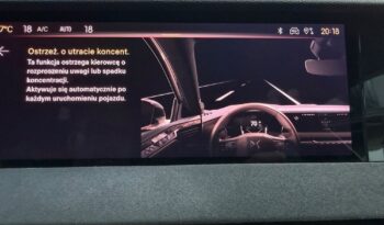 DS Automobiles DS 4 1.6 E-Tense Performance Line + full