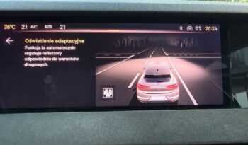DS Automobiles DS 4 1.6 E-Tense Performance Line + full