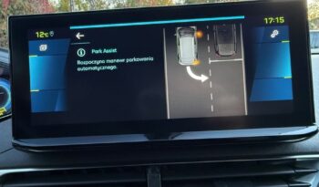 Peugeot 3008 full
