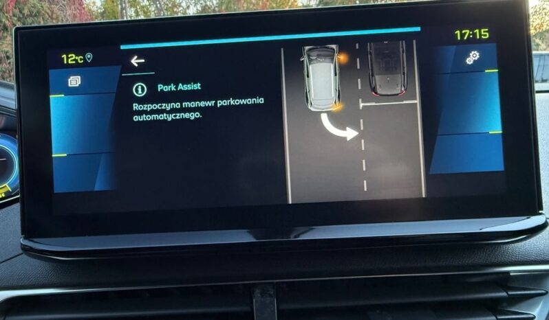 Peugeot 3008 full