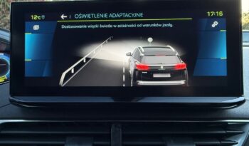 Peugeot 3008 full