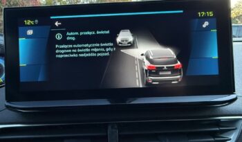 Peugeot 3008 full