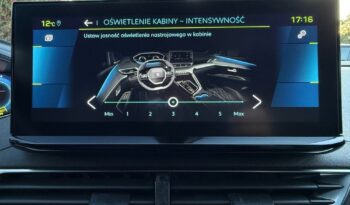 Peugeot 3008 full