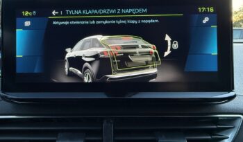 Peugeot 3008 full