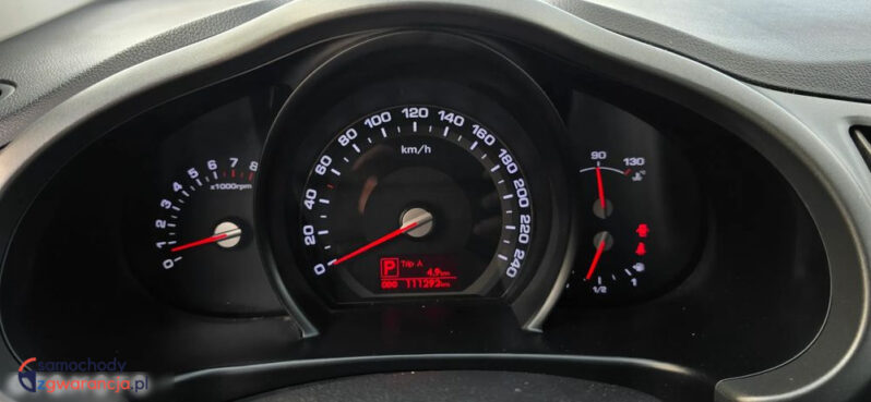 Kia Sportage full