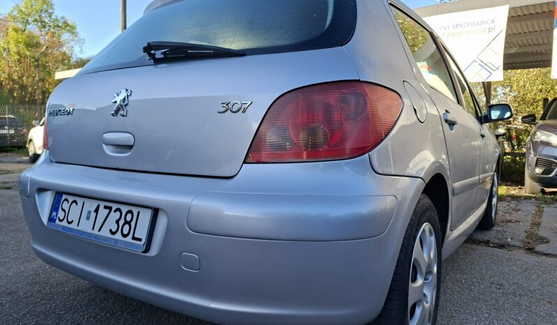Peugeot 307 Ele szyby, Ele lusterka, Podłokietnik przód tył, 2 kluczyki I (2001-2005) full