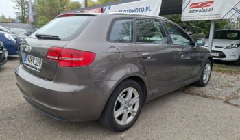 Audi A3 Sportback Klimatronic 2-stref, Tempomat, Podgrz. fotele, PDC, Podłokietnik 8P (2003-2012) full