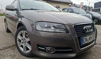 Audi A3 Sportback Klimatronic 2-stref, Tempomat, Podgrz. fotele, PDC, Podłokietnik 8P (2003-2012) full