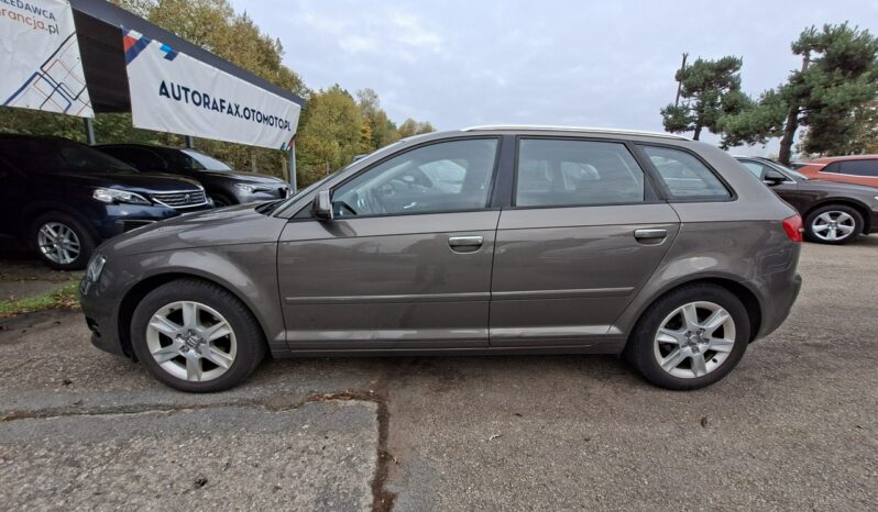 Audi A3 Sportback Klimatronic 2-stref, Tempomat, Podgrz. fotele, PDC, Podłokietnik 8P (2003-2012) full