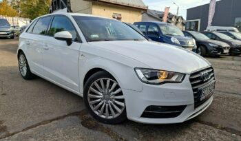 Audi A3 Sportback Klimatronic 2-stref, Podgrz. fotele, Nawigacja, 2 kpl. kół 8V (2012-) full